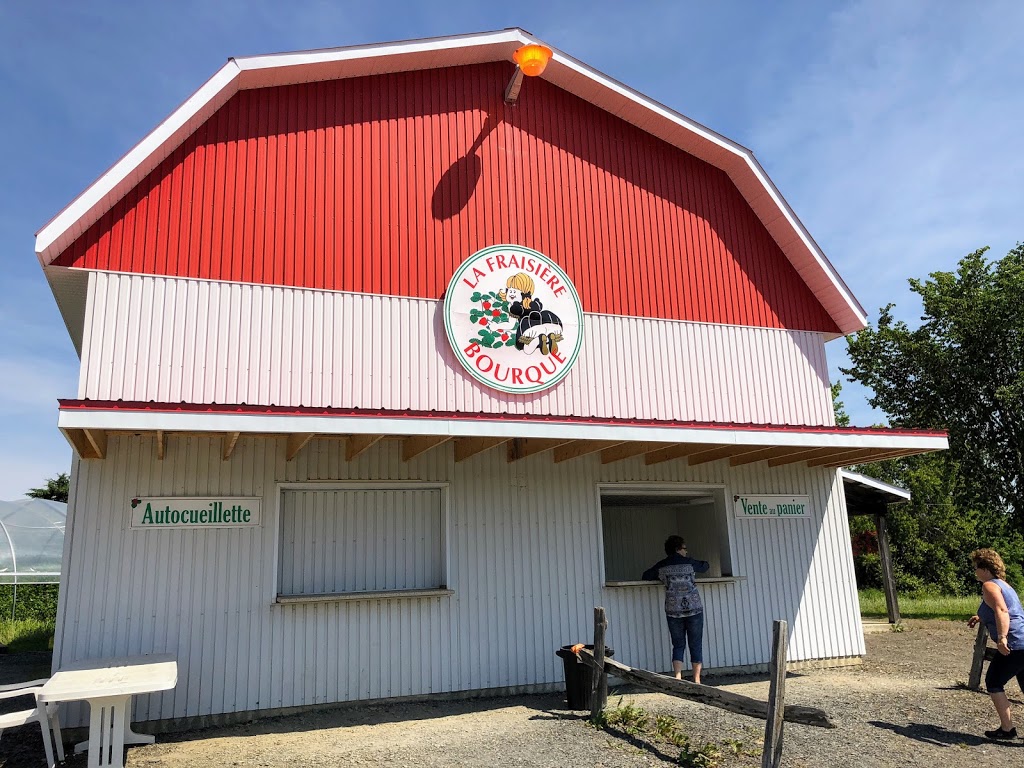 La Fraisière Bourque | 7110 6e Avenue S, Saint-Georges, QC G5Z 1N7, Canada | Phone: (418) 228-4615