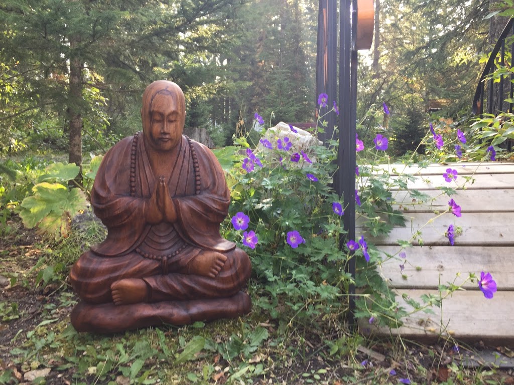Wildflower Wellness and Yoga Centre | 10 Eastview Drive, James River Bridge, AB T0M 1C0, Canada | Phone: (403) 728-3152
