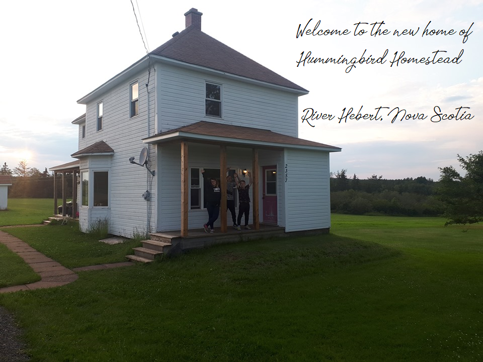Hummingbird Homestead | Barronsfield Rd, Nova Scotia B0L 1G0, Canada | Phone: (902) 251-2832