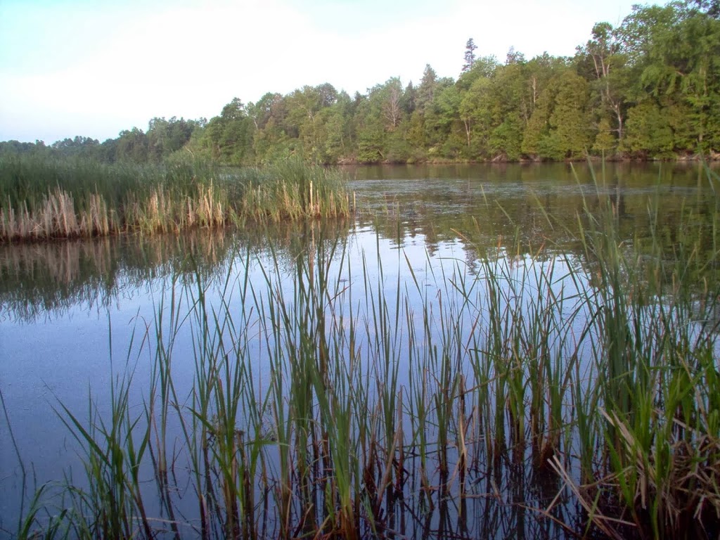 Sportsmans Hideaway Campground | 30167 County Rd 179, Chaumont, NY 13622, USA | Phone: (315) 408-5093