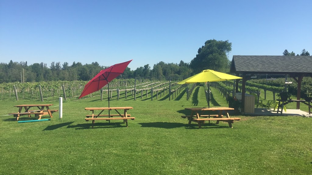 La Fruitière Des Cantons | 588 Chemin Allen, Shefford, QC J2M 1E7, Canada | Phone: (579) 488-2554