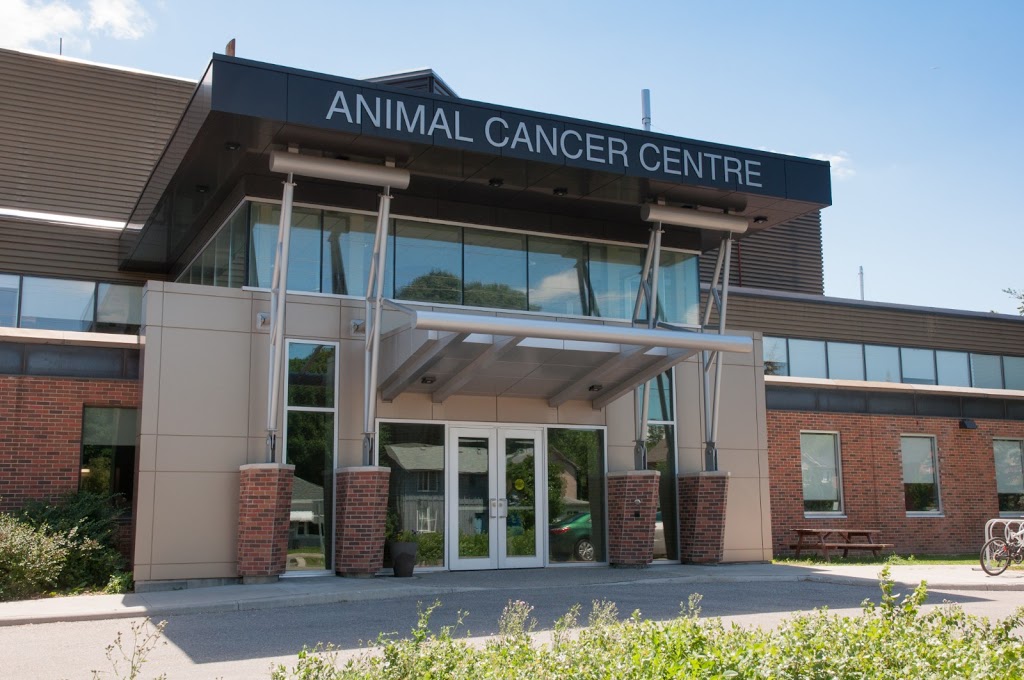 Animal Cancer Ctr | 36 College Ave W, Guelph, ON N1G, Canada | Phone: (519) 823-8830