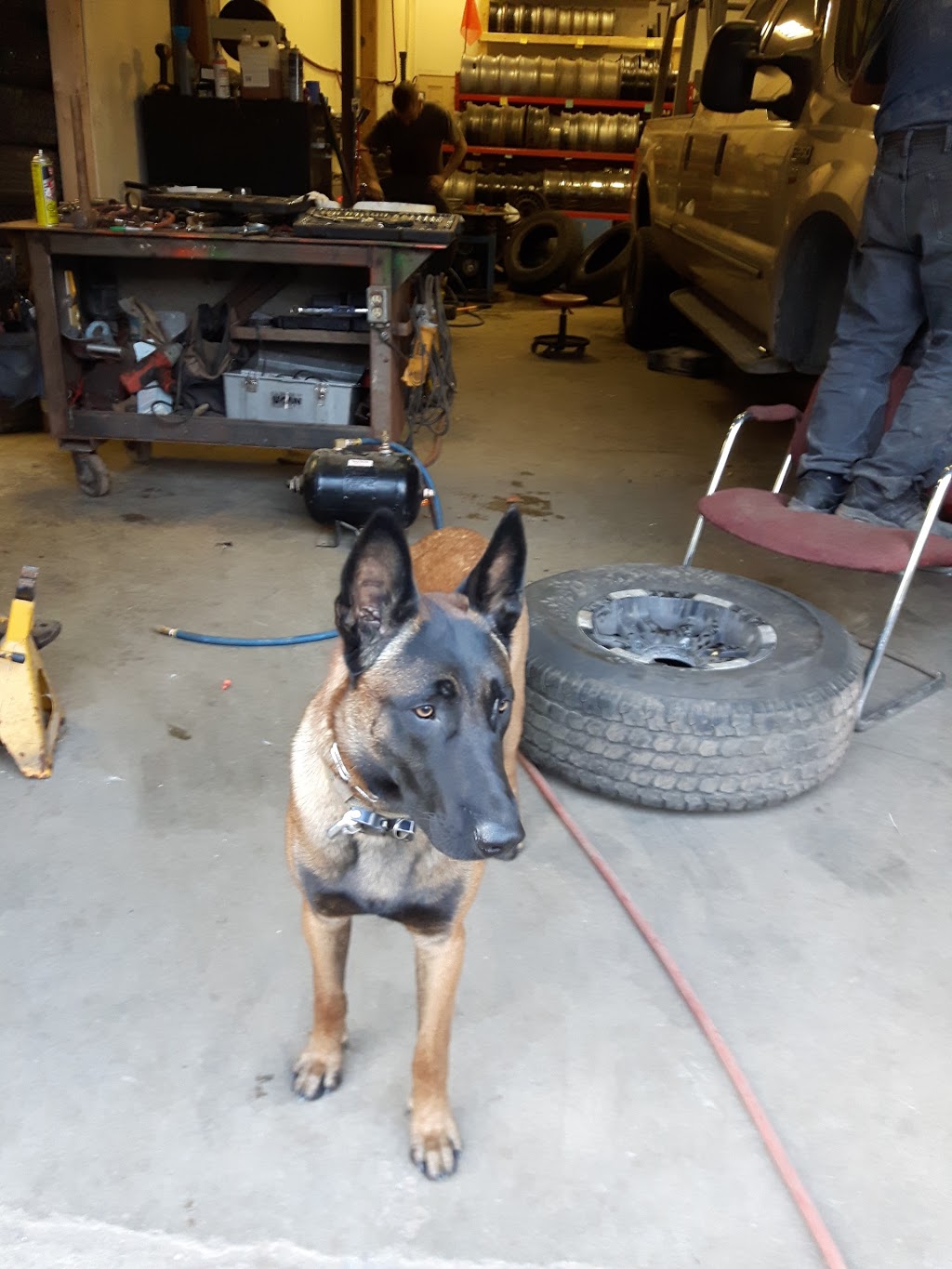 Budget Tire | 5 Commerce Rd Unit 2, Orangeville, ON L9W 3X5, Canada | Phone: (519) 217-7701