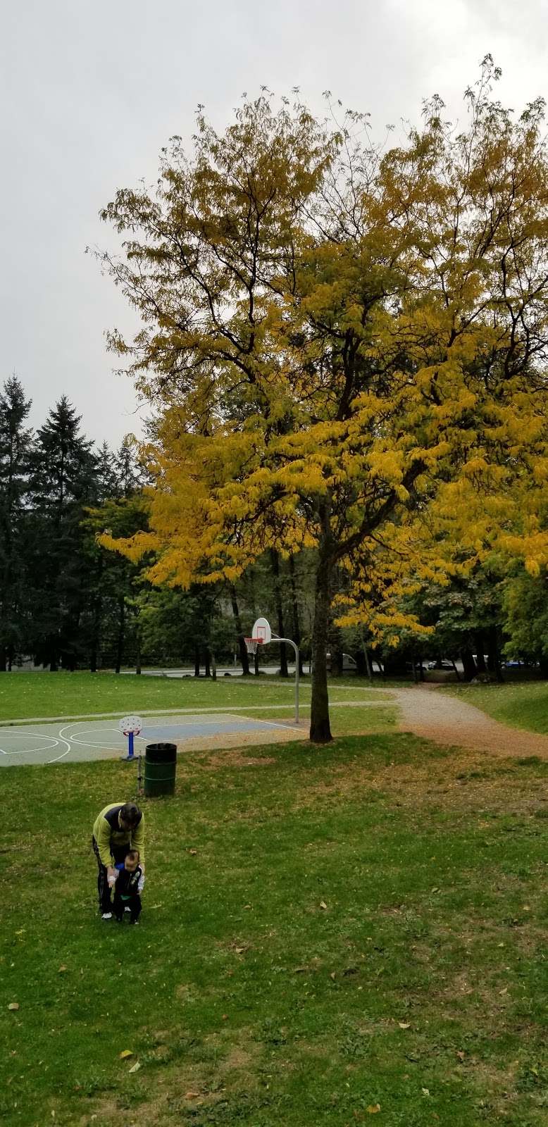 Keswick Park | 9452 Cardston Ct, Burnaby, BC V3N 4R6, Canada | Phone: (604) 294-7450