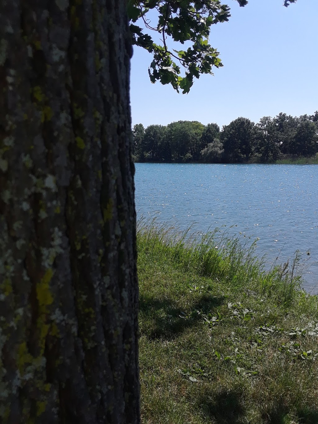 MacDonald Park | 29581-29859 St Clair Pkwy, Wallaceburg, ON N8A 4L1, Canada