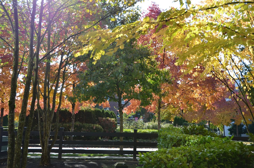 Roundabout Park | 19501 Fraser Way, Pitt Meadows, BC V3Y, Canada | Phone: (604) 467-7346