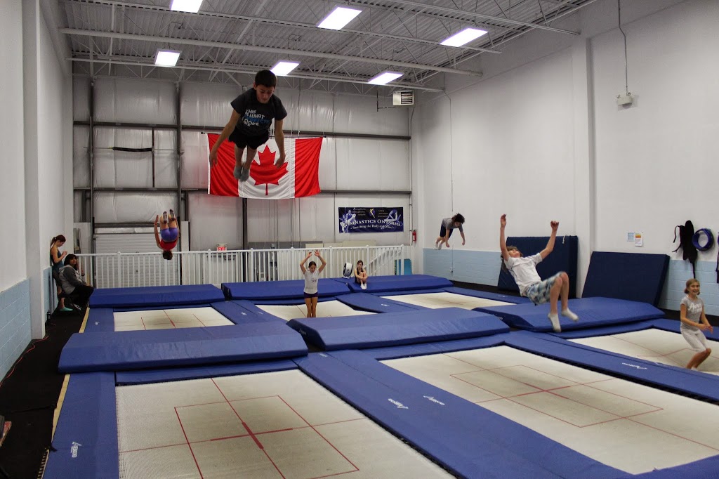 Airborne Trampoline KW | 115 Saltsman Dr #11, Cambridge, ON N3H 4R7, Canada | Phone: (519) 653-7713