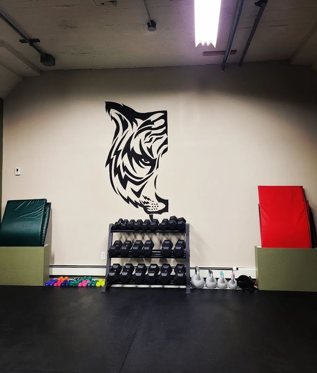 TWIN TIGER BOXING ACADEMY | North, Collingwood, 864 Hurontario St Unit 4, Collingwood, ON L9Y 0G7, Canada | Phone: (705) 888-9755