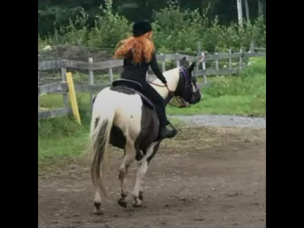 Complete Horsemanship | 5134 Dupuis Dr, Hanmer, ON P3P 0B3, Canada | Phone: (705) 562-0585
