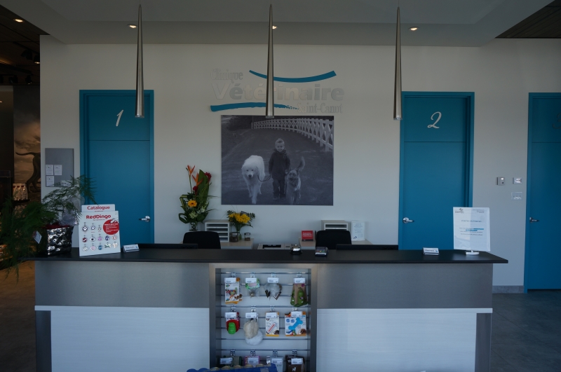Clinique Vétérinaire Saint-Canut | 14000 Rue Saint-Simon, Mirabel, QC J7N 1P4, Canada | Phone: (450) 436-2043