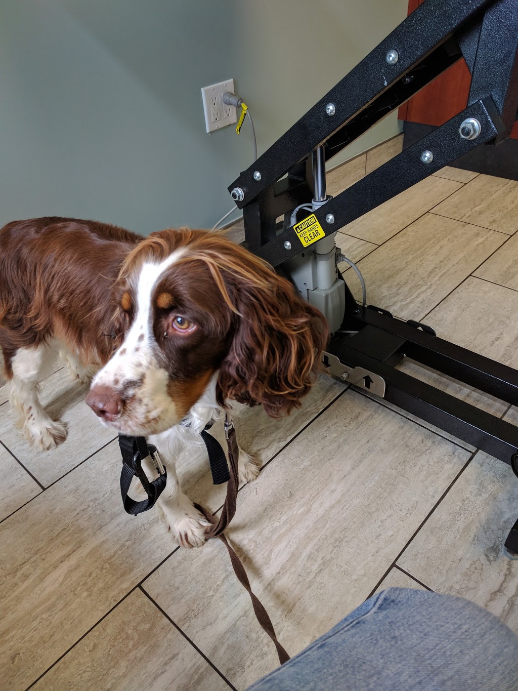 Robinson Veterinary Services | 3285 London Line, Wyoming, ON N0N 1T0, Canada | Phone: (519) 542-9588