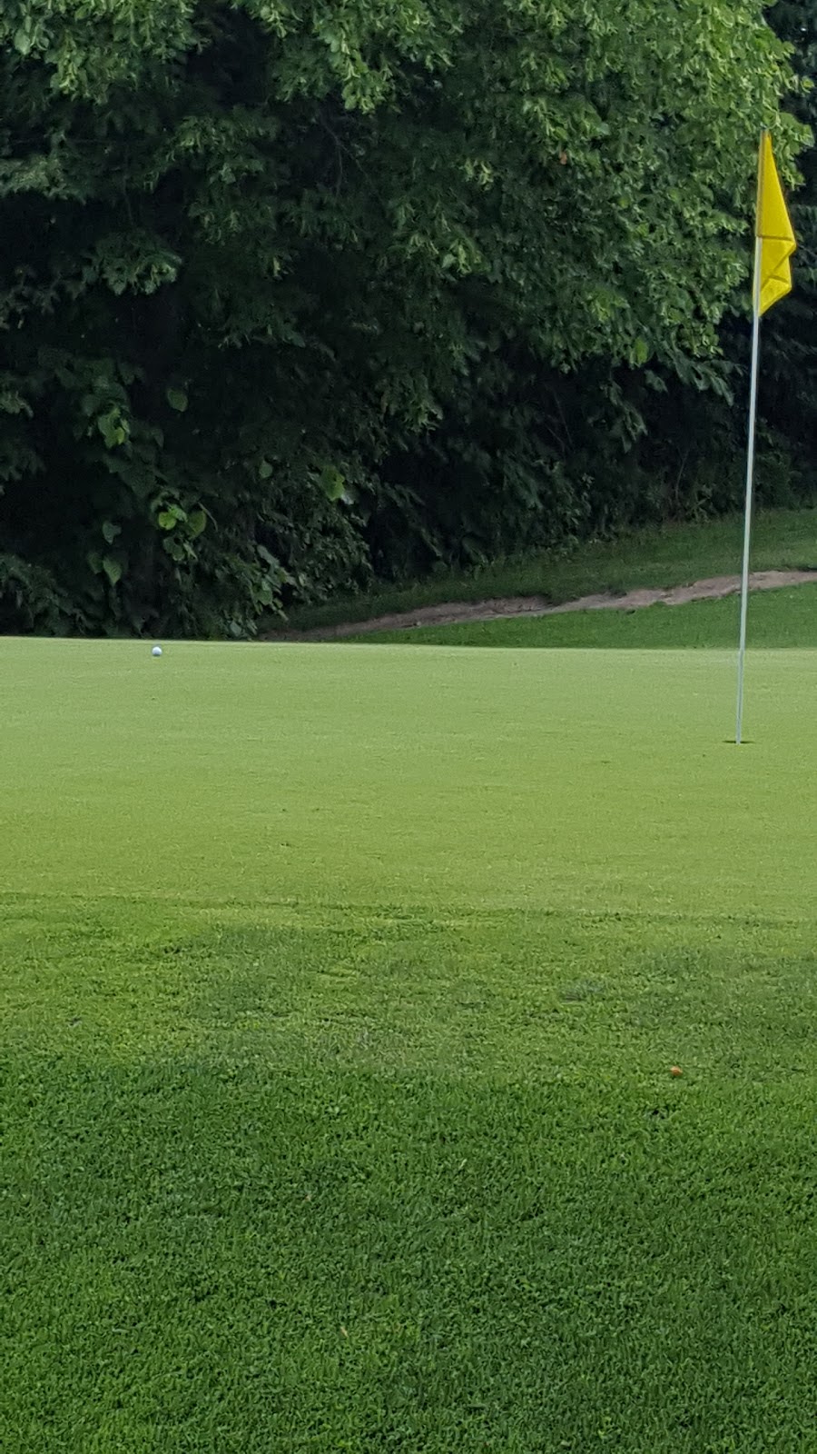 Saltcreek Golf Links | 353 Norham Rd RR 4, Warkworth, ON K0K 3K0, Canada | Phone: (705) 924-1521