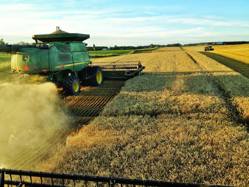 Barlow Farms | 210 Barlow Rd, York, ON N0A 1R0, Canada | Phone: (905) 692-3235