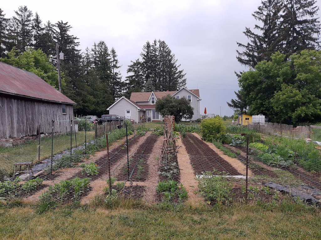 Feather and Tendril Farmstead | 1957 17 Line, Lakefield, ON K0L 2H0, Canada | Phone: (705) 731-9090