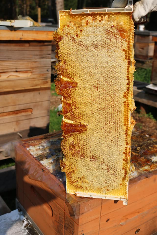 Alpine Honey | 1201 Commercial Way Unit 304, Squamish, BC V8B 0A4, Canada | Phone: (778) 322-5812