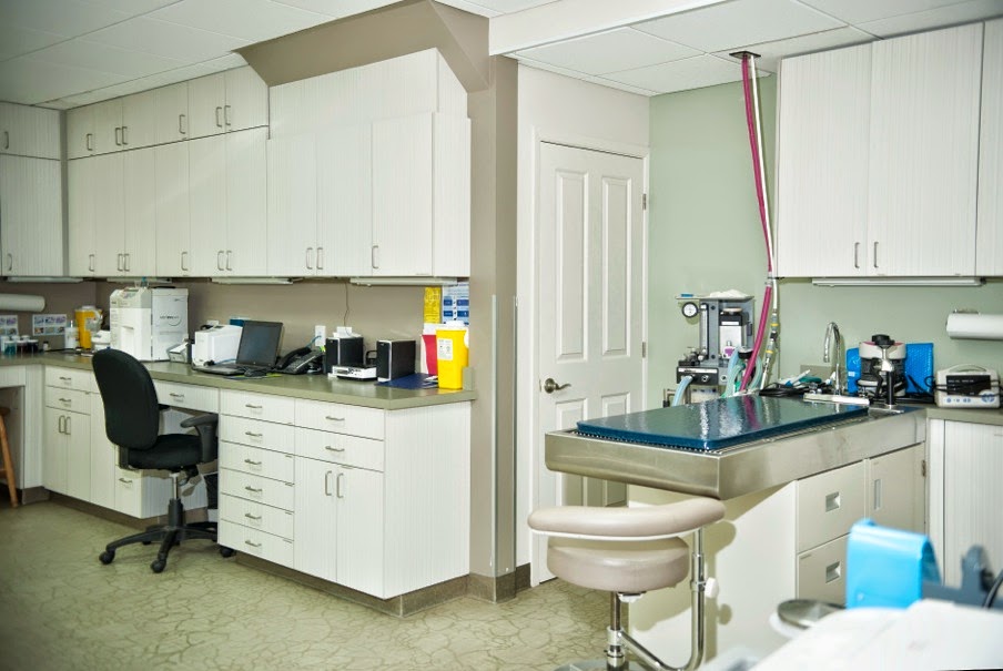 Maritime Animal Hospital (Moncton) | 1755 Main St, Moncton, NB E1E 1H2, Canada | Phone: (506) 389-2121