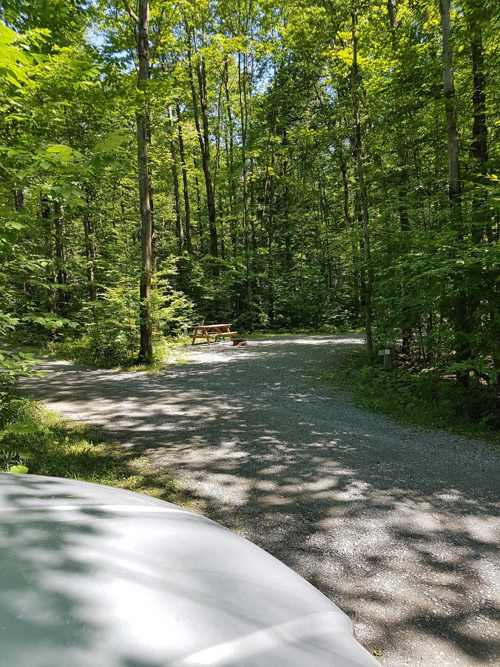 Camping St-Alphonse | 170 Rue du Camping, Saint-Alphonse-de-Granby, QC J0E 2A0, Canada | Phone: (450) 372-1440