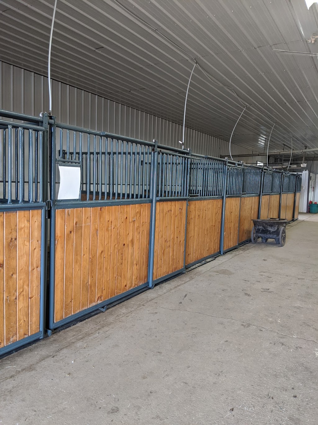 L and M Stables | Range Rd 271, Alberta T0M, Canada, Canada | Phone: (403) 935-7734