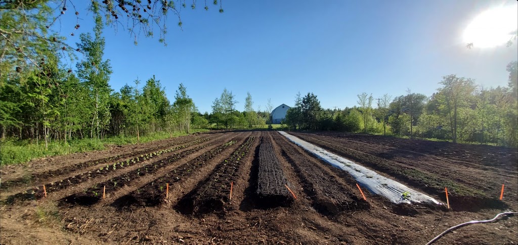 Les Jardins de Gravel | 212 Rang St Lazare, Saint-Apollinaire, QC G0S 2E0, Canada | Phone: (418) 255-9317