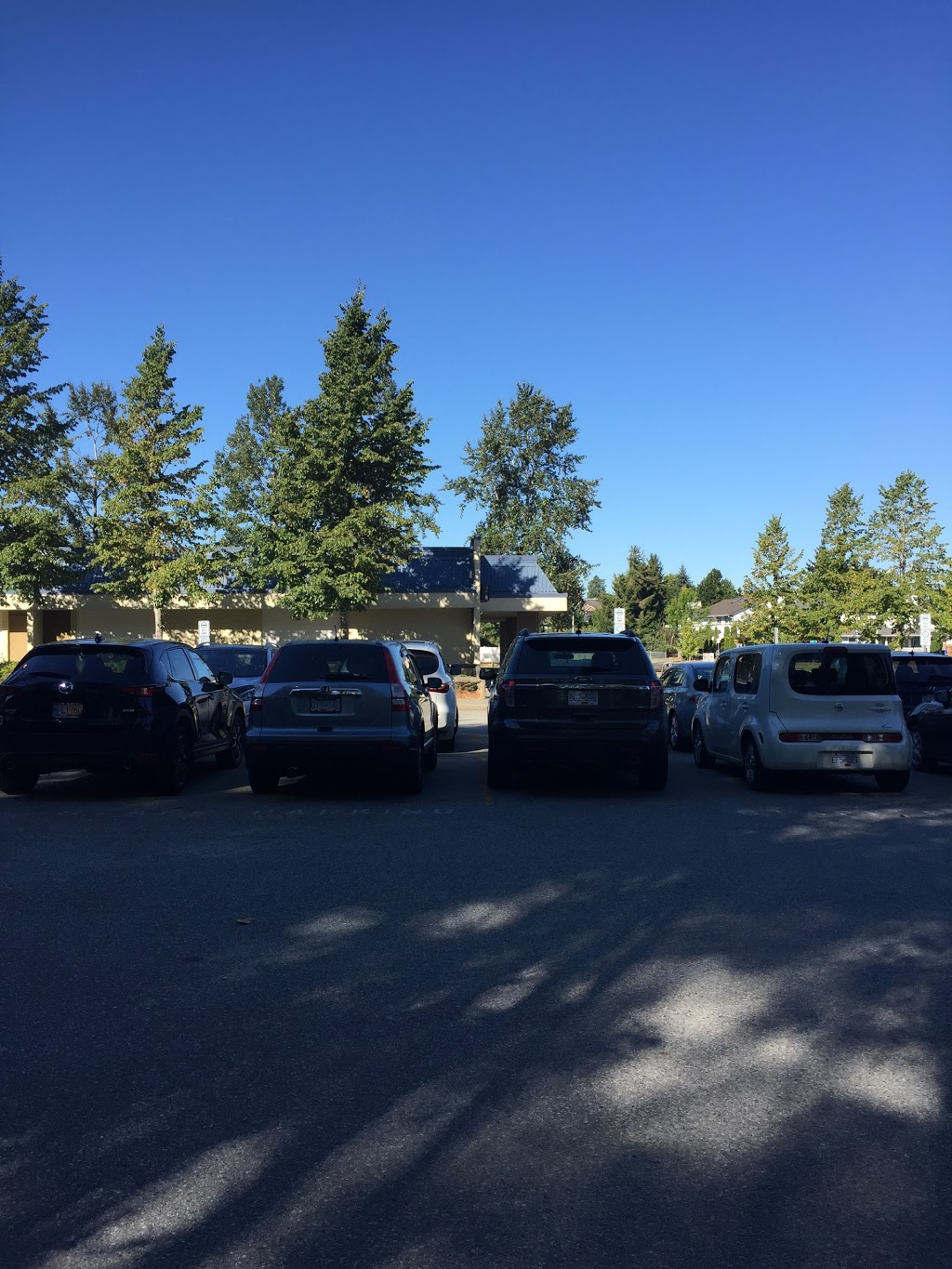 Serpentine Heights Elementary | 16126 93a Ave, Surrey, BC V4N 3A2, Canada | Phone: (604) 589-6322