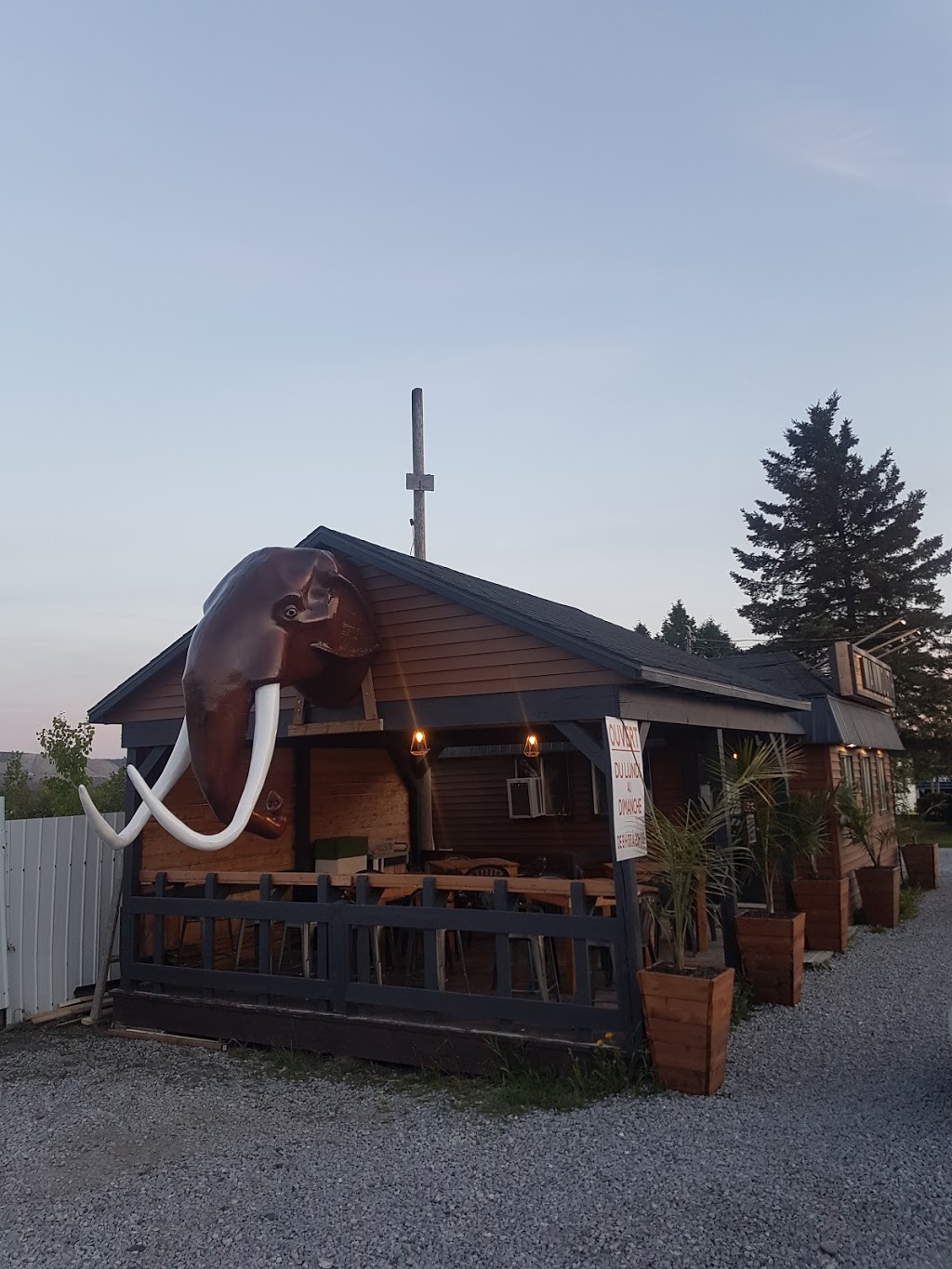 Cantine Des Dee | 946 Boulevard Frontenac O, Thetford Mines, QC G6G 6K3, Canada | Phone: (418) 338-8669