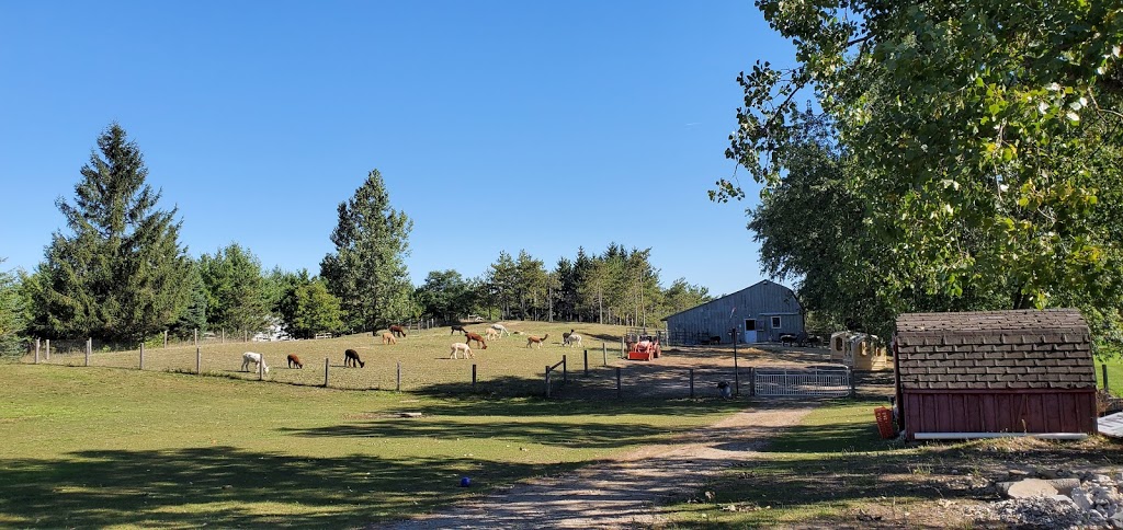 Harmony Meadows Alpaca | 6185 Sixth Line, Belwood, ON N0B 1J0, Canada | Phone: (519) 827-0939