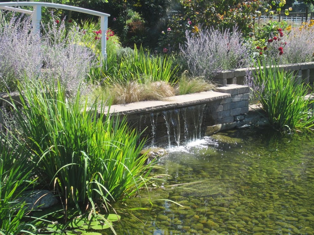 Tuscan Farm Gardens | 6834 Mount Lehman Rd, Abbotsford, BC V4X 2G5, Canada | Phone: (604) 857-1998