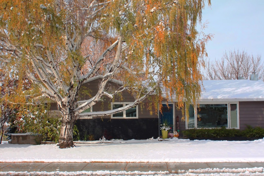 Fort MacLeod Glass Ltd | 308 12 St, Fort Macleod, AB T0L 0Z0, Canada | Phone: (403) 317-4115