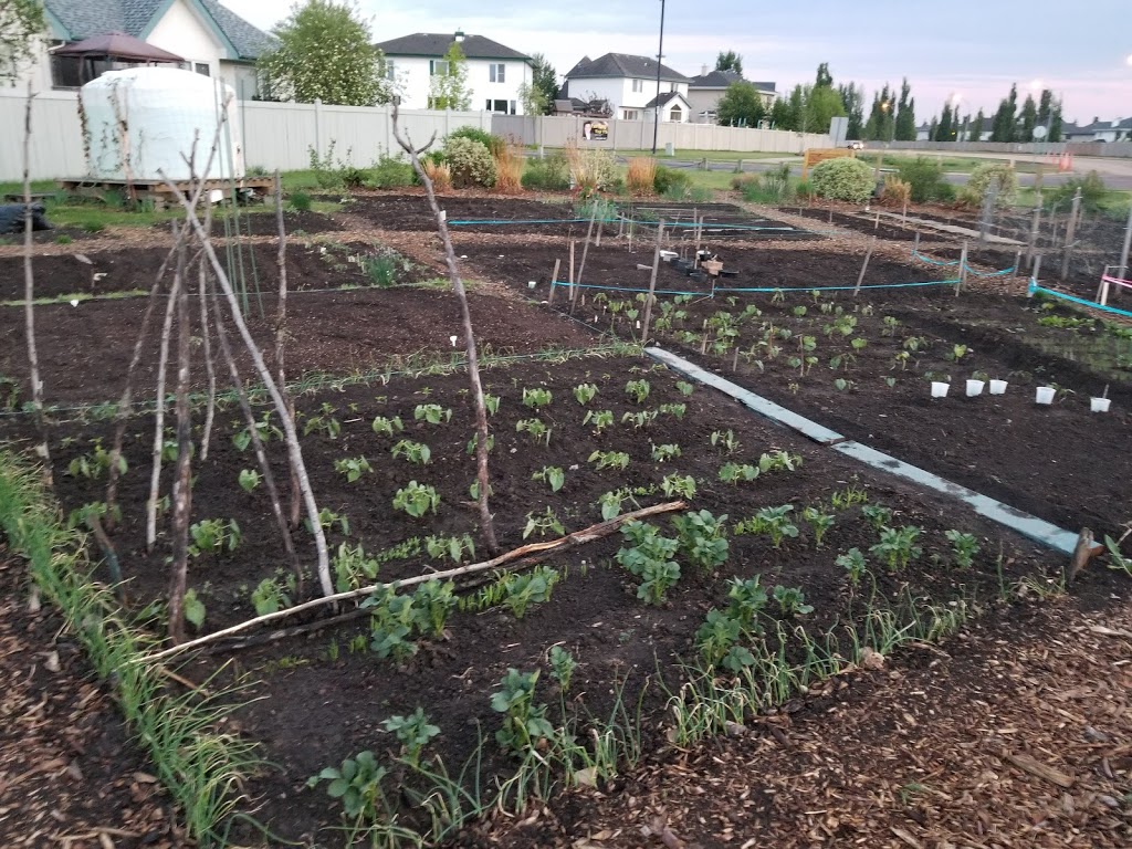 Twin Brooks Community Garden | 1535 Twin Brooks Way NW, Edmonton, AB T6J 7E2, Canada