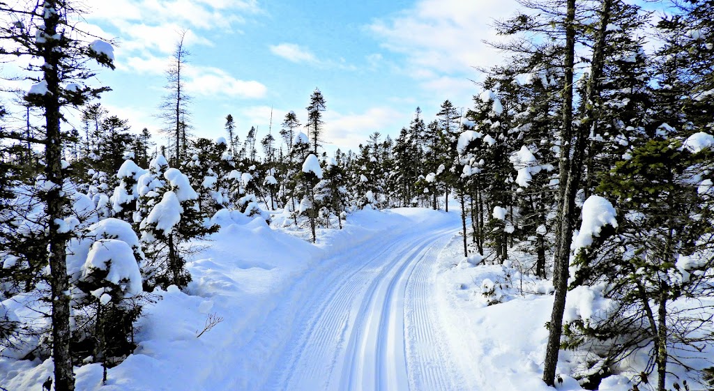 Club de ski de fond La Loutre | Av. Mercure, Plessisville, QC G6L 1E1, Canada | Phone: (819) 362-7145