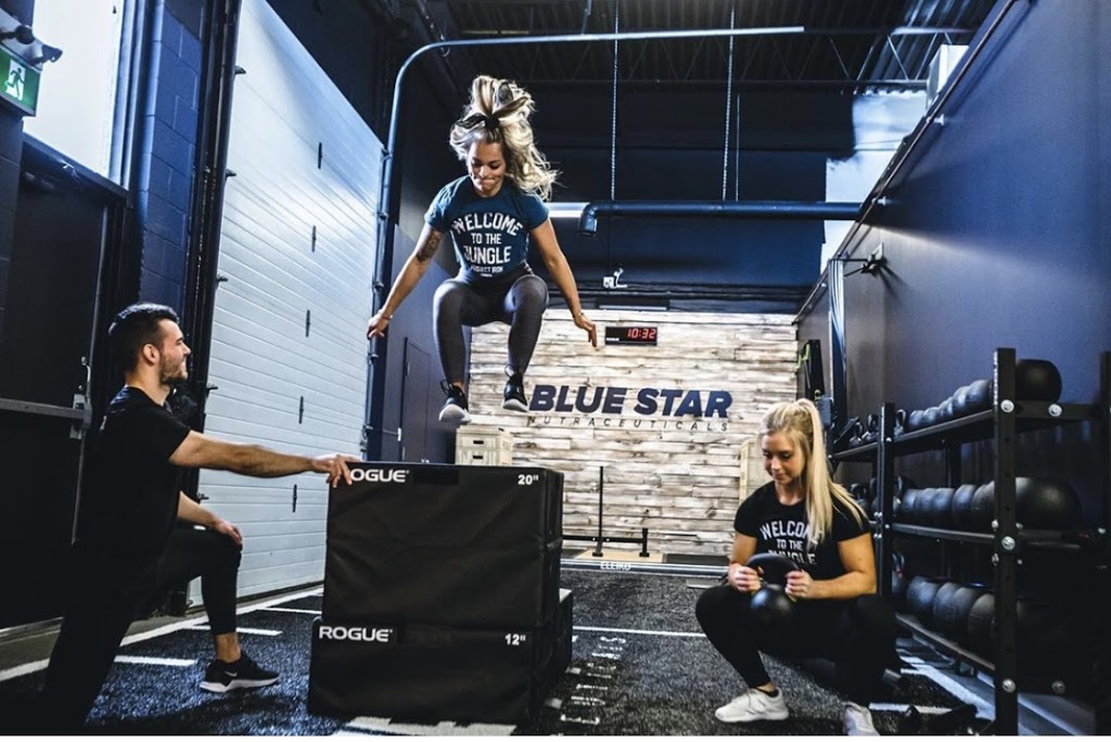 Project Iron | 355 Elmira Rd N #100, Guelph, ON N1K 1S5, Canada | Phone: (519) 824-6060