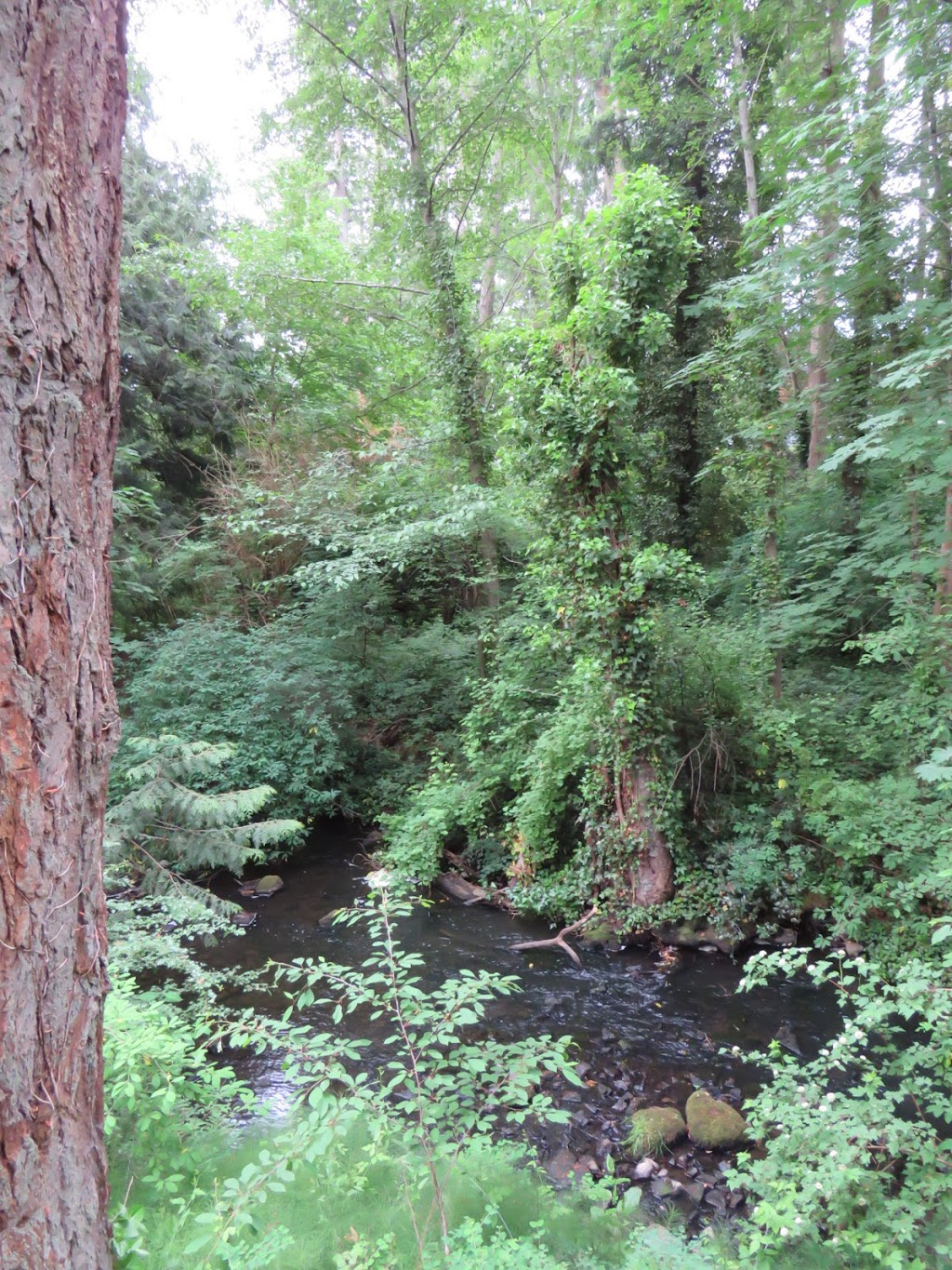 Colquitz River Trail | Unnamed Road, Victoria, BC V8Z 6W2, Canada