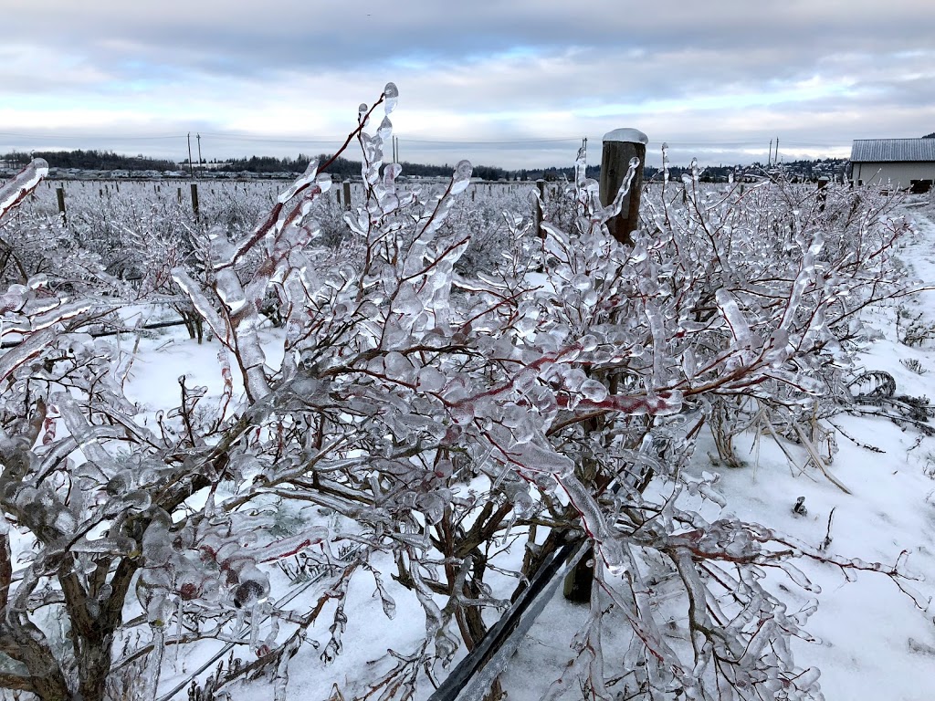 Jem Farms | 35073 Boundary Rd, Abbotsford, BC V2S 7L8, Canada | Phone: (604) 850-0216