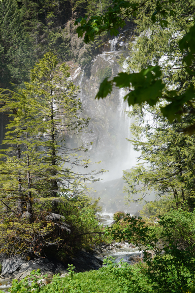 Sunshine Coast Tours | 16660 Backeddy Rd, Madeira Park, BC V0N 2H4, Canada | Phone: (604) 883-2280