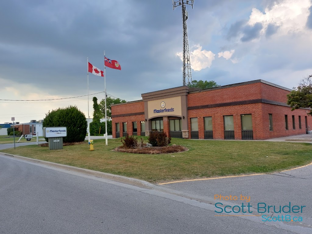 Masterfeeds | 1020 Hargrieve Rd Unit 1, London, ON N6E 1P5, Canada | Phone: (519) 685-4300