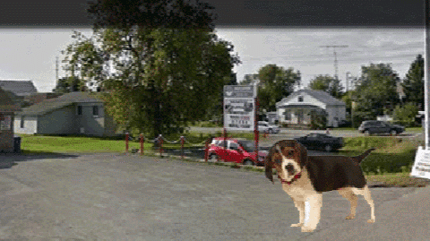 Animalerie G. Leblanc | 2153 Boulevard Ste Sophie, Sainte-Sophie, QC J5J 2P6, Canada | Phone: (450) 438-2640