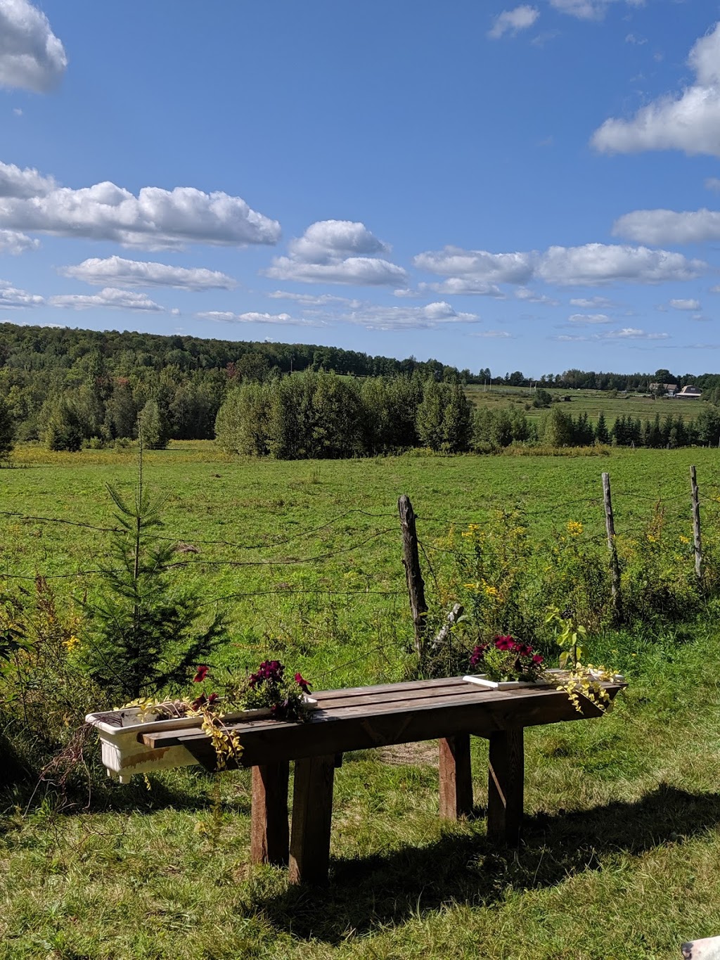 Paradis dAdonis | 82 Rang 9e, Tingwick, QC J0A 1L0, Canada