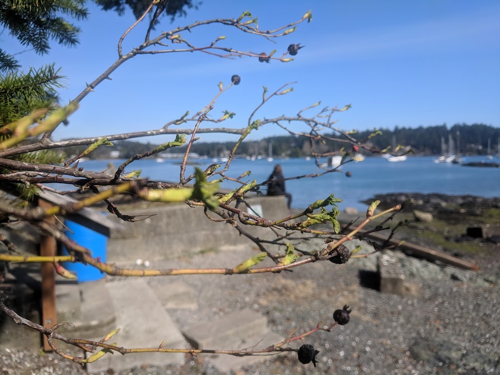 Marina Park Marina | 2060 White Birch Rd, Sidney, BC V8L 2R1, Canada | Phone: (250) 656-0454