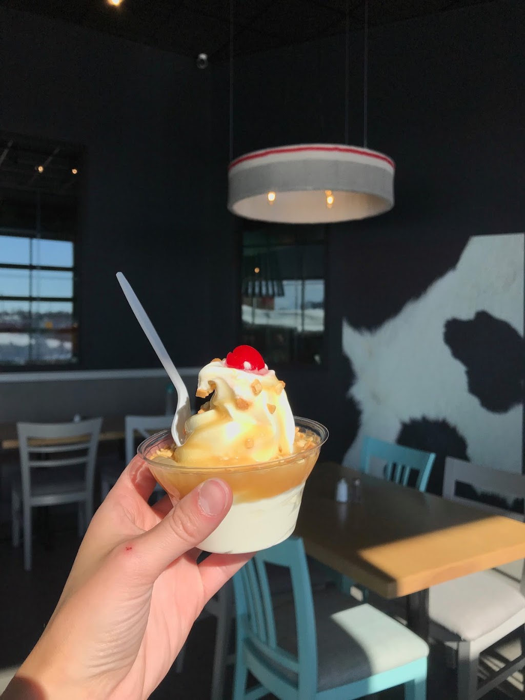 Fromagerie Victoria | 1140 Avenue St Edouard, Plessisville, QC G6L 3L4, Canada | Phone: (819) 362-8844