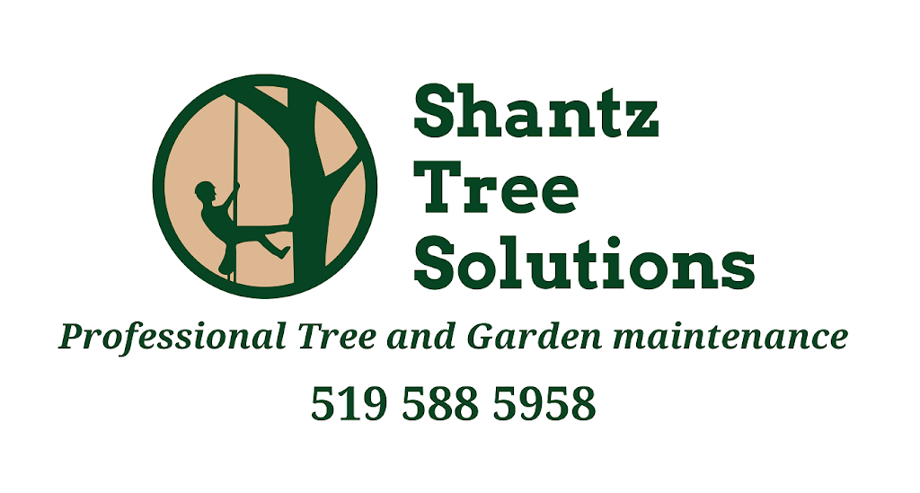 Shantz Tree Solutions | Oxford Waterloo Rd, New Dundee, ON N0B 2E0, Canada | Phone: (519) 588-5958