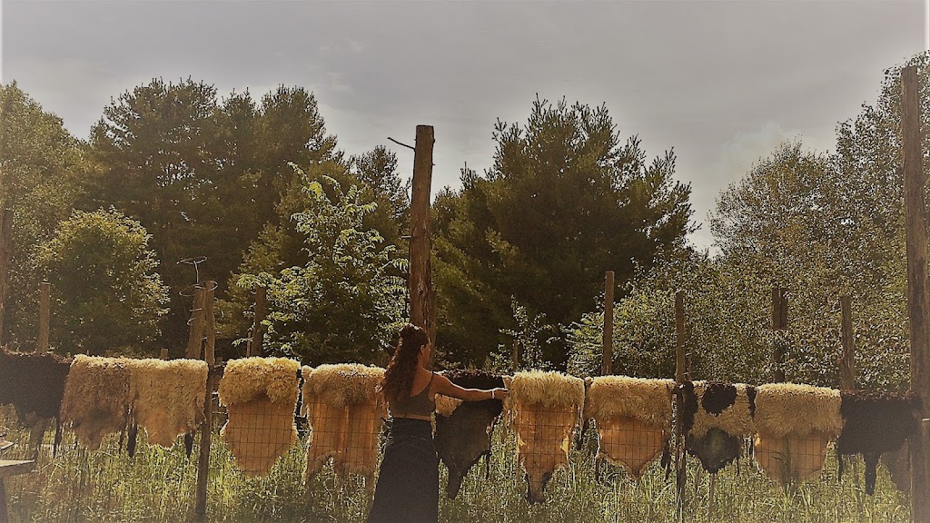 The Natural Tannery | 580 Brooke Valley Rd, Perth, ON K7H 3C6, Canada | Phone: (613) 200-6232