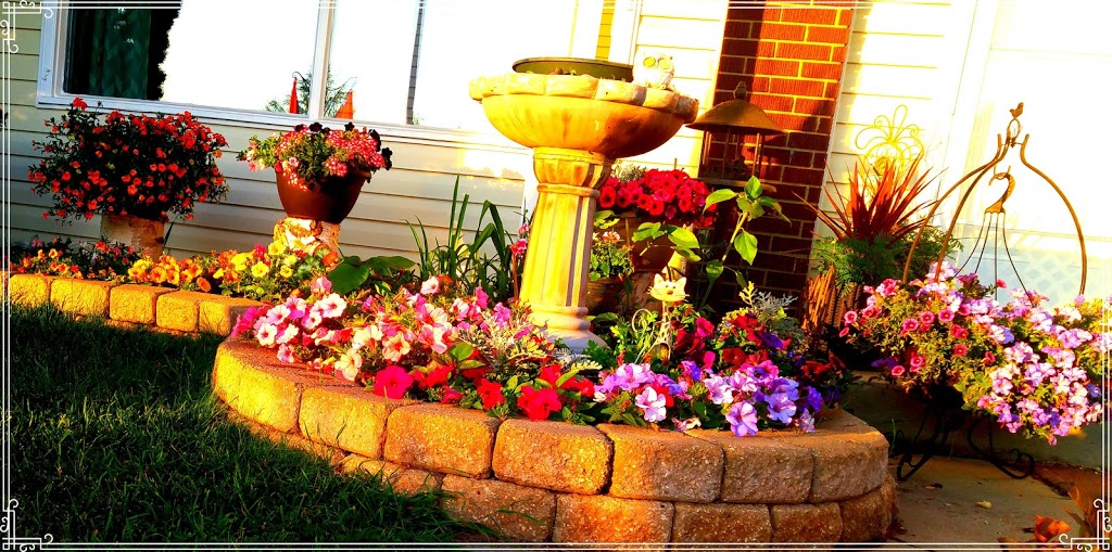 Local Nursery Ltd | 26515A, Township Rd 514, Spruce Grove, AB T7Y 1G1, Canada | Phone: (780) 987-9133