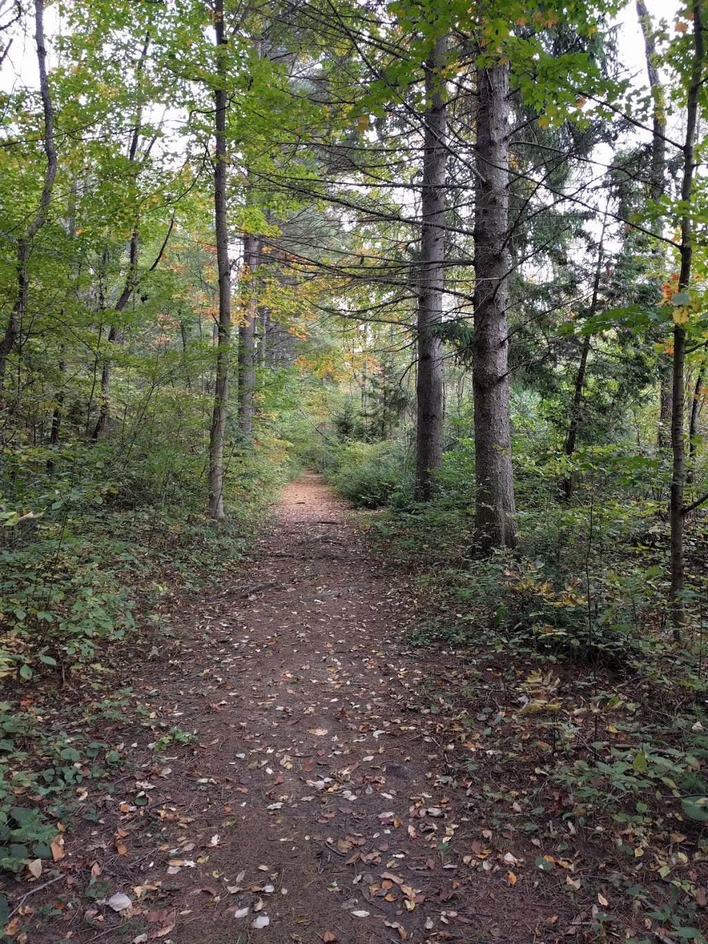 Naftels Creek Conservation Area | 79154 Bluewater Hwy, Goderich, ON N7A 3X8, Canada