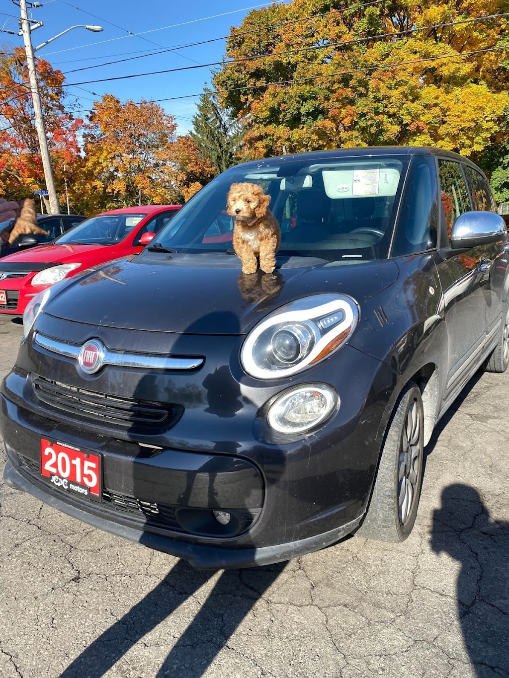 JSC Auto Sales Inc | 421 King St E, Cobourg, ON K9A 1M5, Canada | Phone: (647) 470-9092