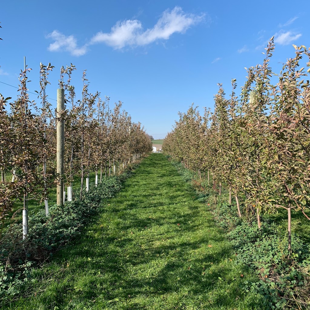 Pingles Farm Market | 1805 Taunton Rd, Hampton, ON L0B 1J0, Canada | Phone: (905) 725-6089