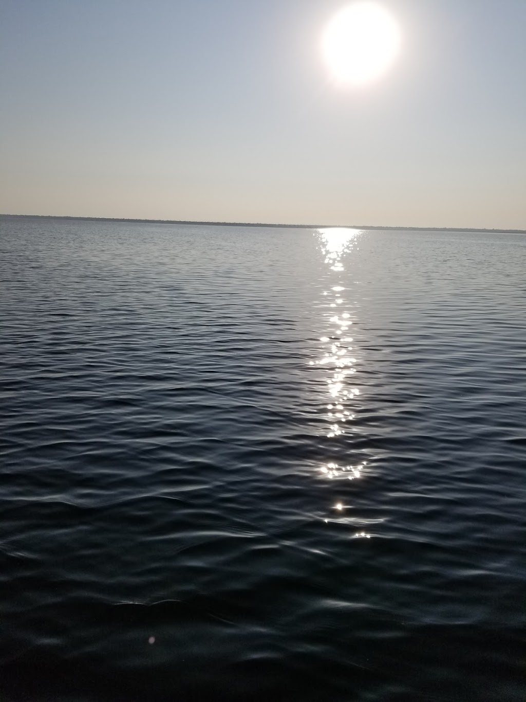 Cove Marina | Tilbury, ON, 470 Tisdelle Dr, Tilbury, ON N0P 2L0, Canada | Phone: (519) 682-3841