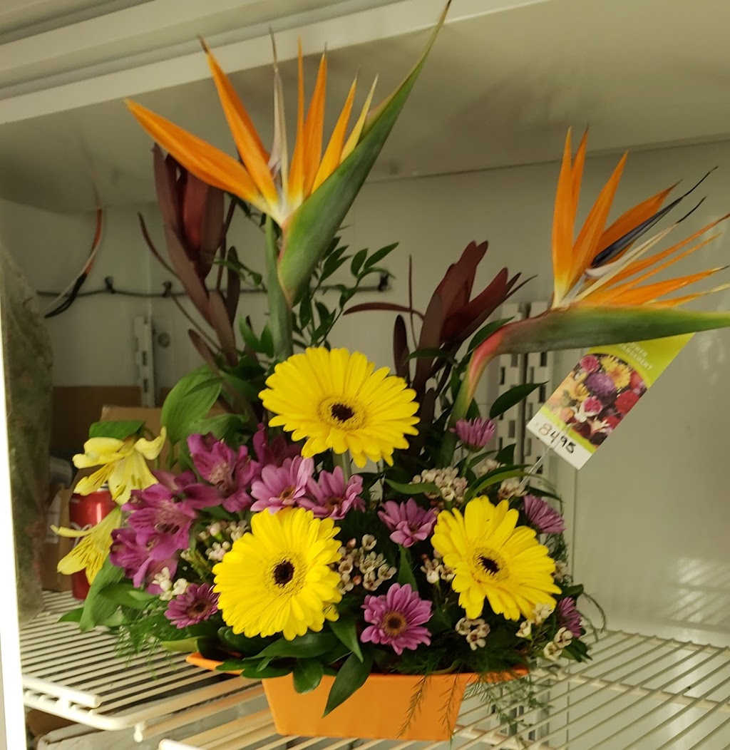 Blooms by May | 8330 82 Ave NW, Edmonton, AB T6C 4E3, Canada | Phone: (780) 244-1834