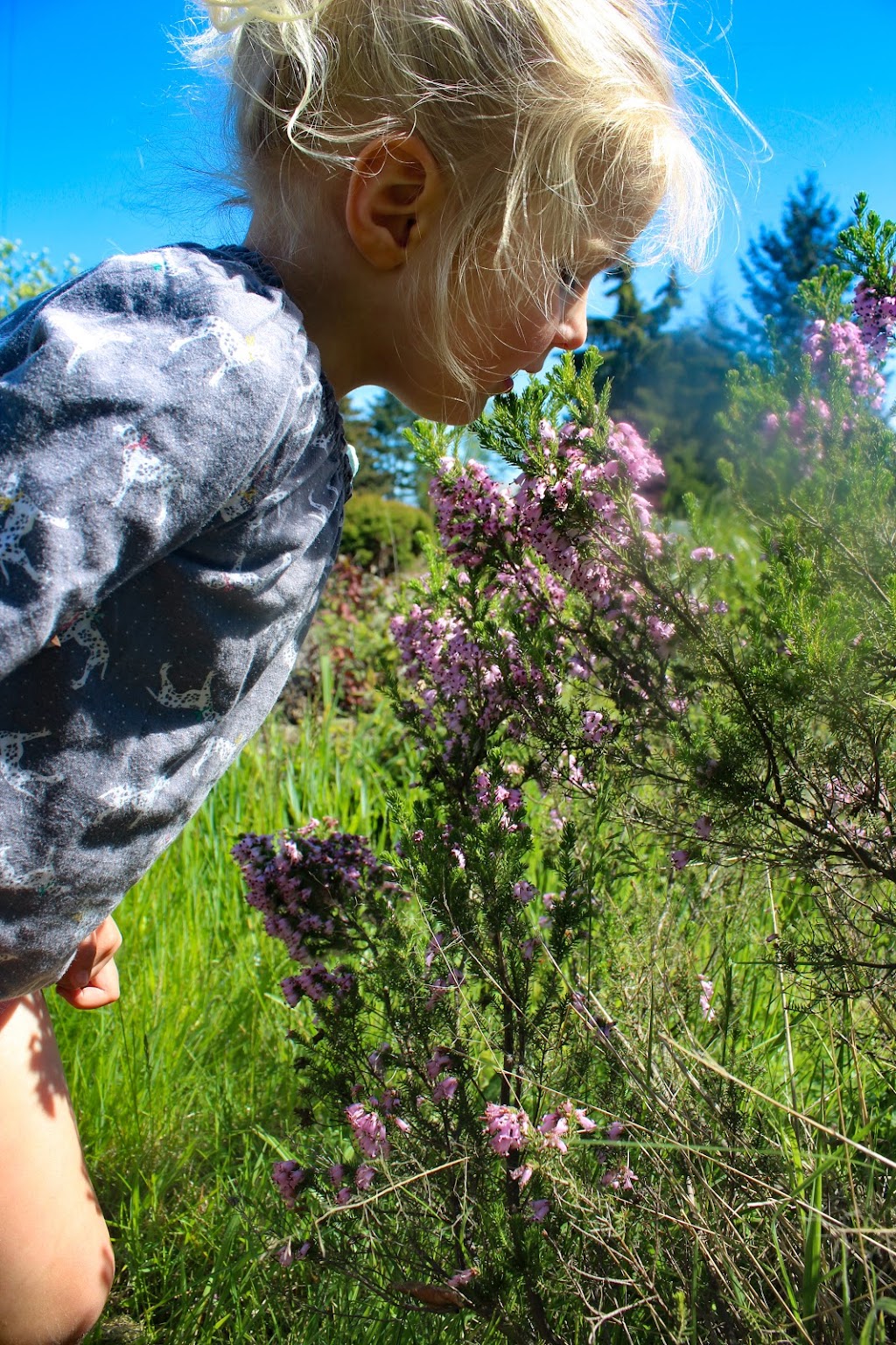 Charlies Smile Photography | Salt Spring Island, BC V8K 1B1, Canada | Phone: (250) 537-6074