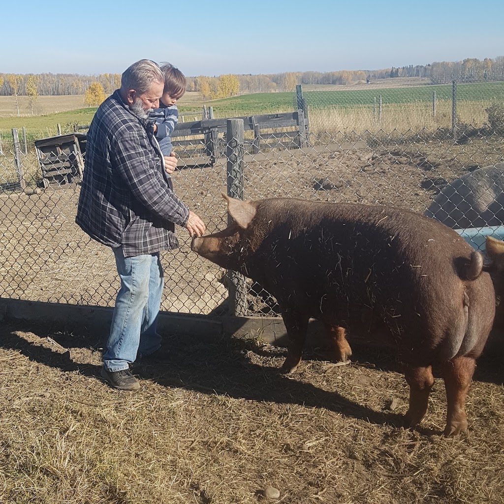 Arbeau Acres | 364077 Hwy 22, Clearwater County, AB T0M 0M0, Canada | Phone: (403) 554-0277