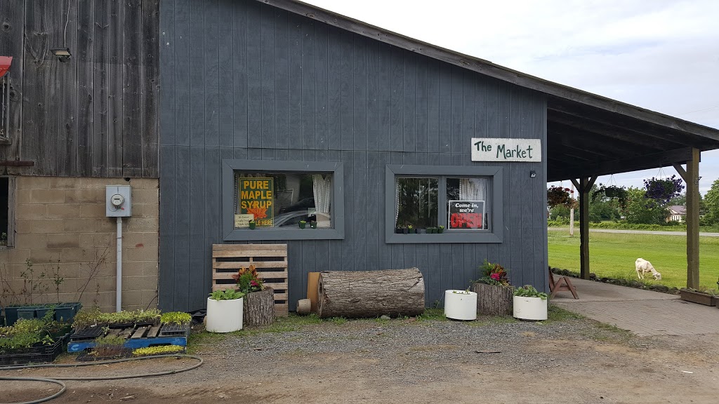 Rideau Pines Farm and Market | 5714 Fourth Line Rd, North Gower, ON K0A 2T0, Canada | Phone: (613) 489-3601